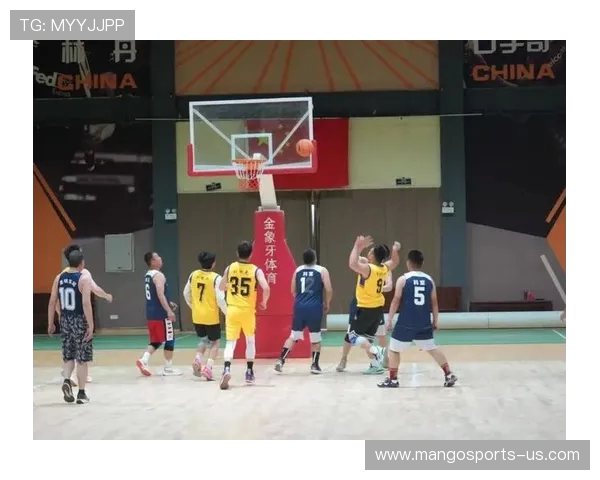 《热血赛场：从草根到冠军的篮球梦想与挑战》